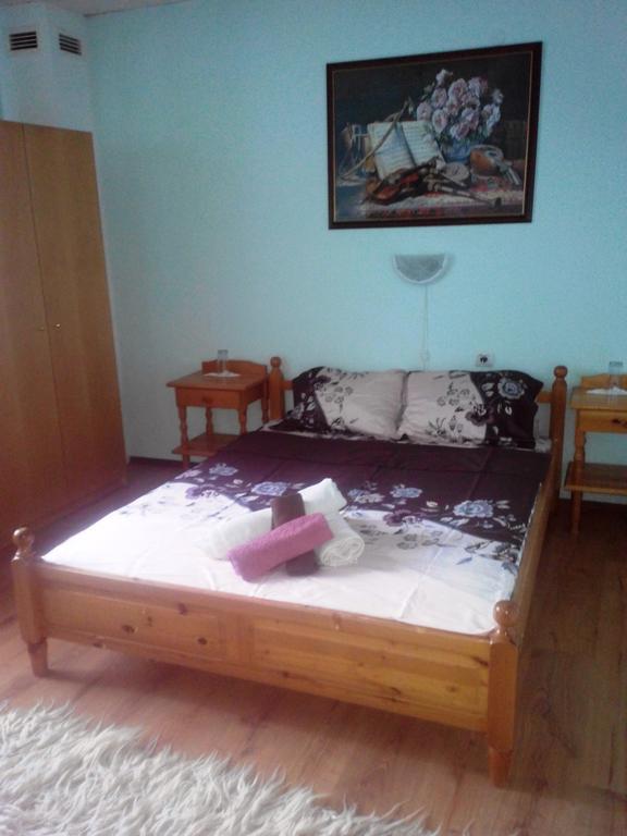Veselata Guest House Долна-Баня Экстерьер фото