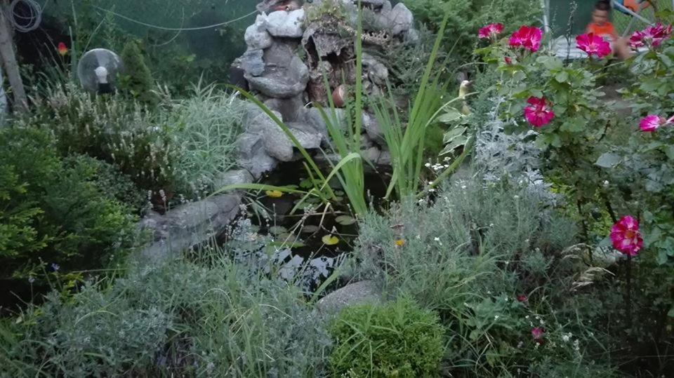 Veselata Guest House Долна-Баня Экстерьер фото