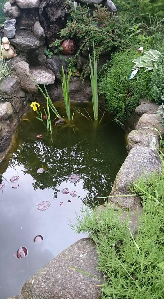Veselata Guest House Долна-Баня Экстерьер фото