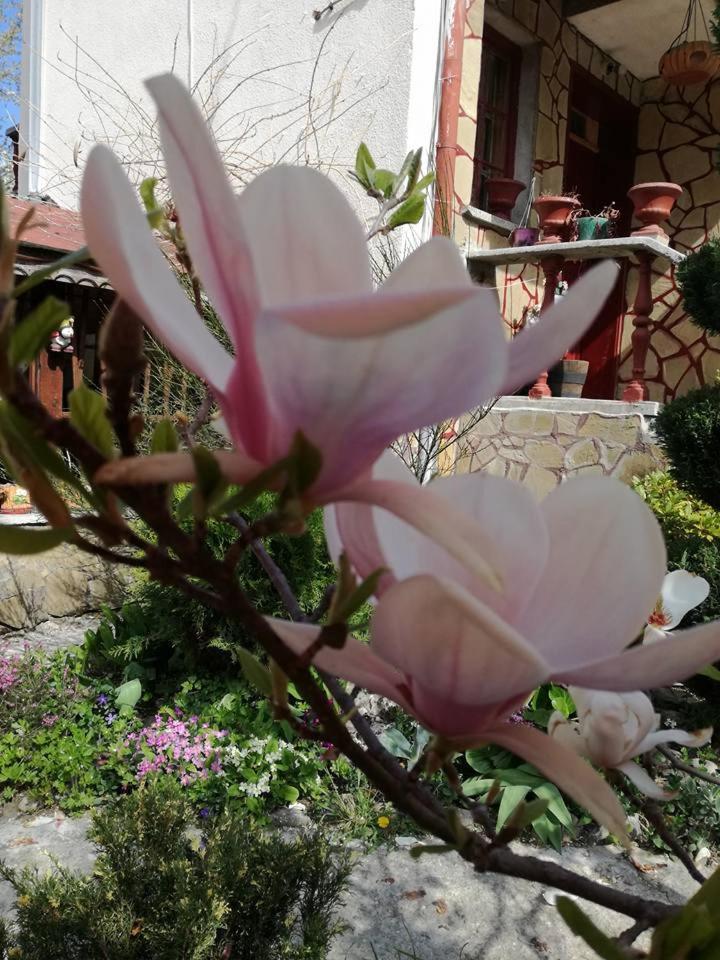 Veselata Guest House Долна-Баня Экстерьер фото